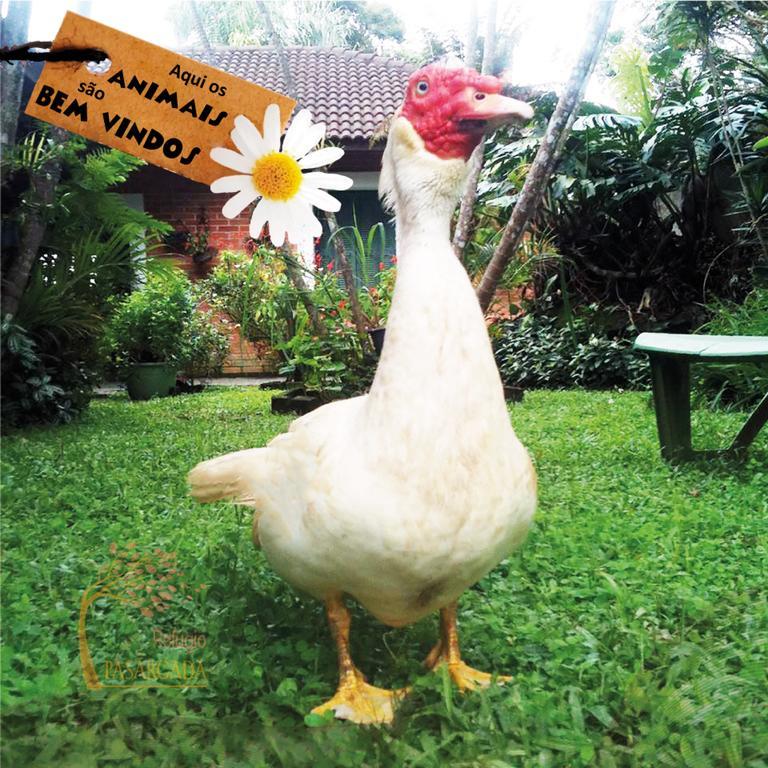 Refugio Pasargada Guest House Mairipora Ngoại thất bức ảnh